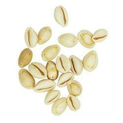 AussieSuperStore Art & Craft Essentials Shells Cowrie with 2 Holes Shells Cowrie with 2 Holes | Shells for Crafting | Jewellery Making Shells 9331468054924 VJY645